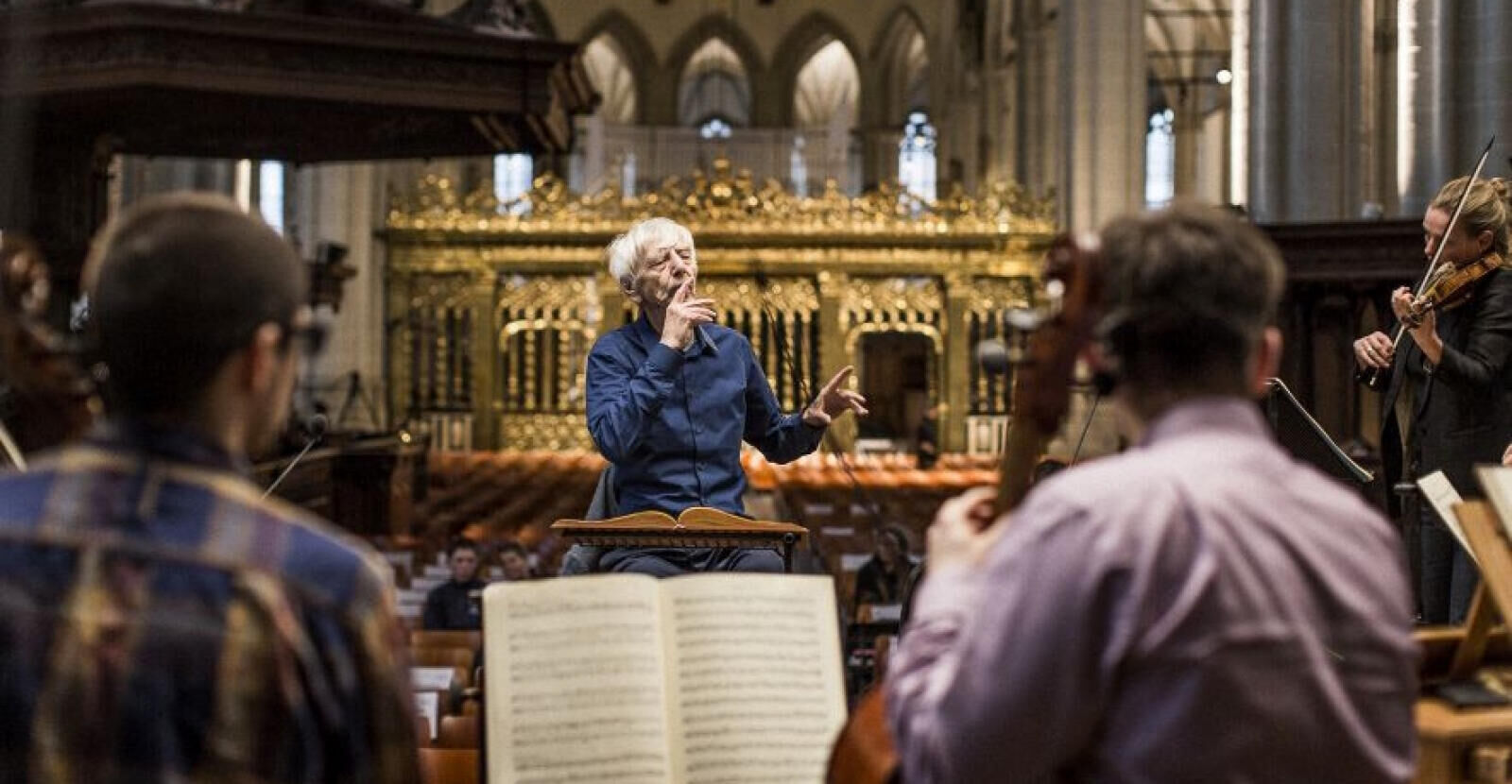 1600x_67e566b5167ad6cd8864c32d31945ed602b3844e247dc