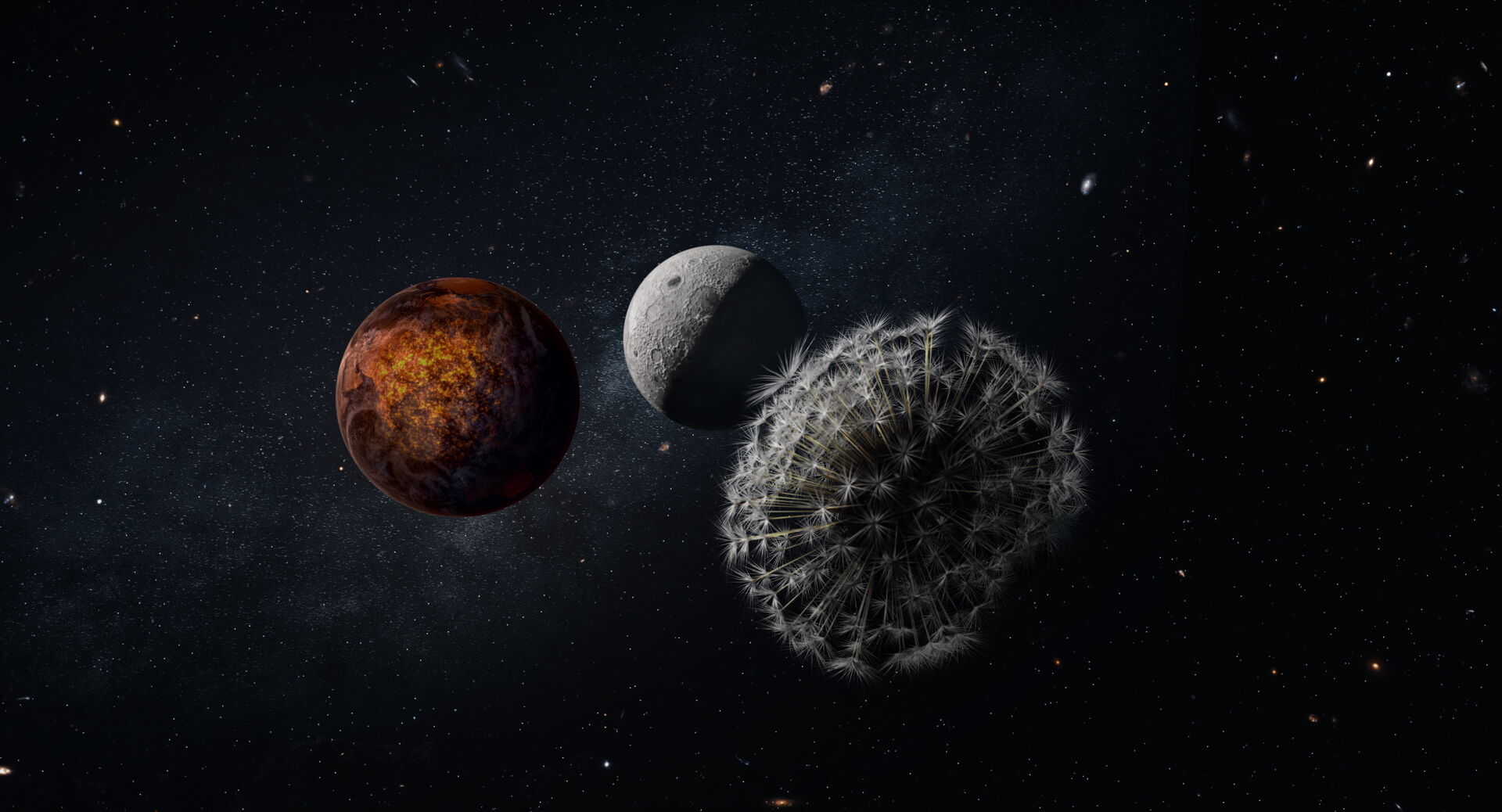 Dandelion-s-Odyssey_st_3_jpg_sd-high