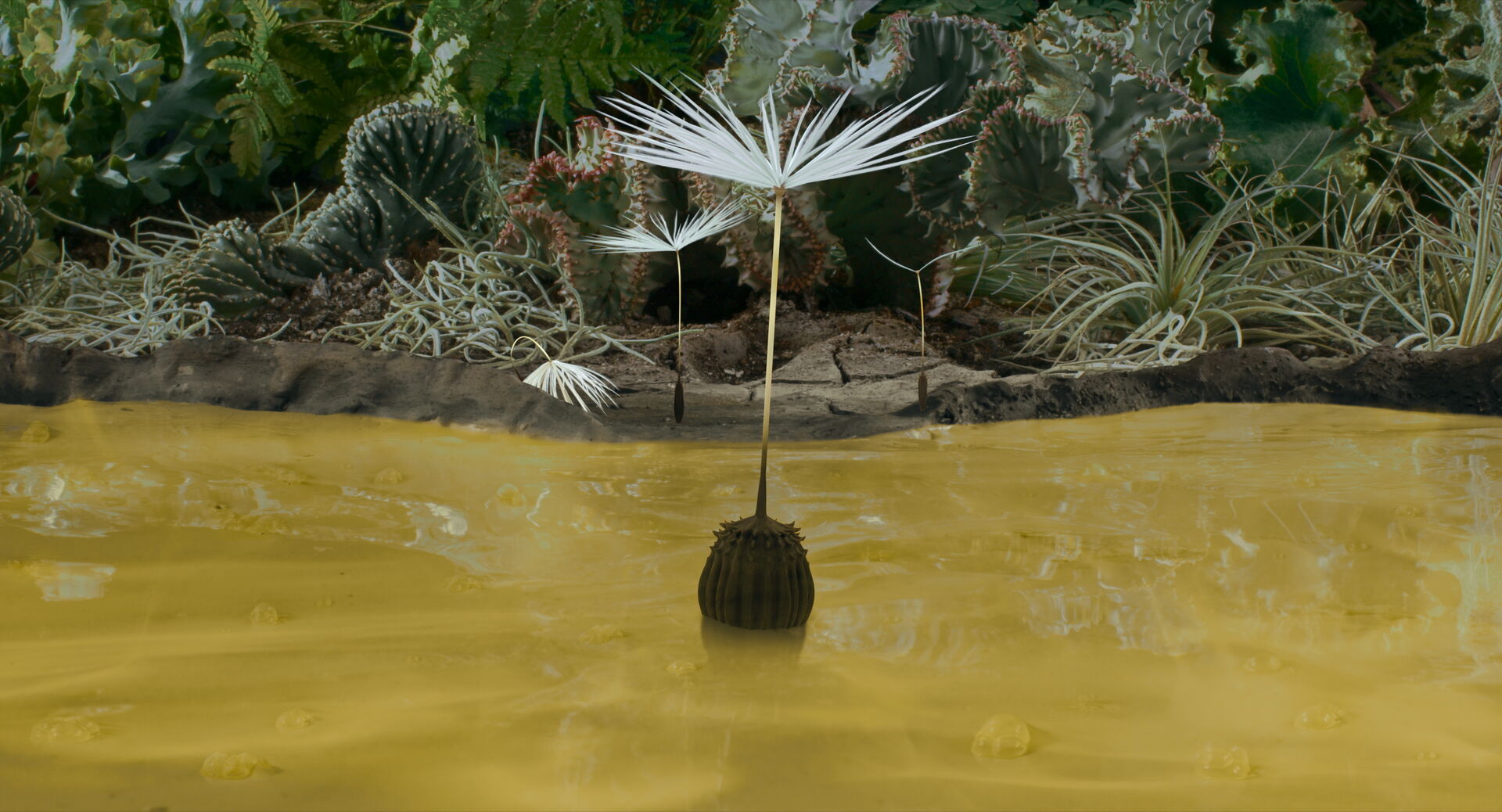 Dandelion-s-Odyssey_st_5_jpg_sd-high