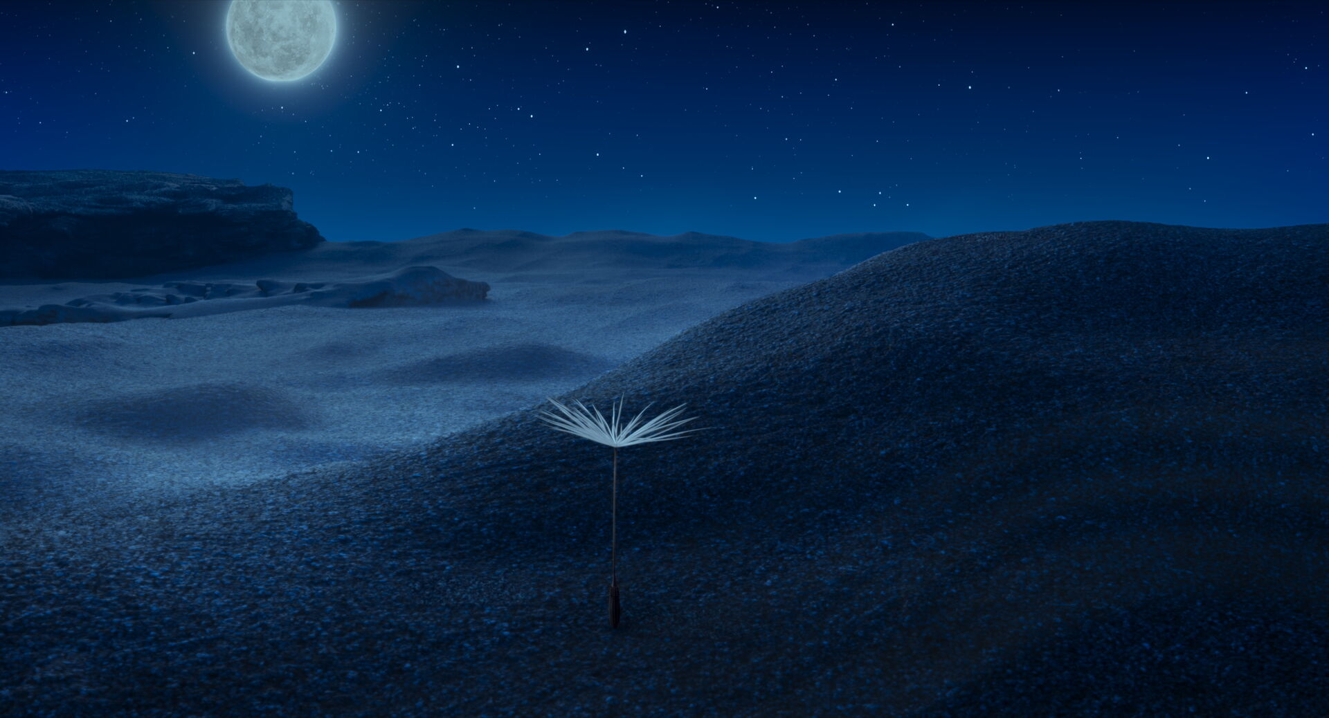 Dandelion-s-Odyssey_st_6_jpg_sd-high