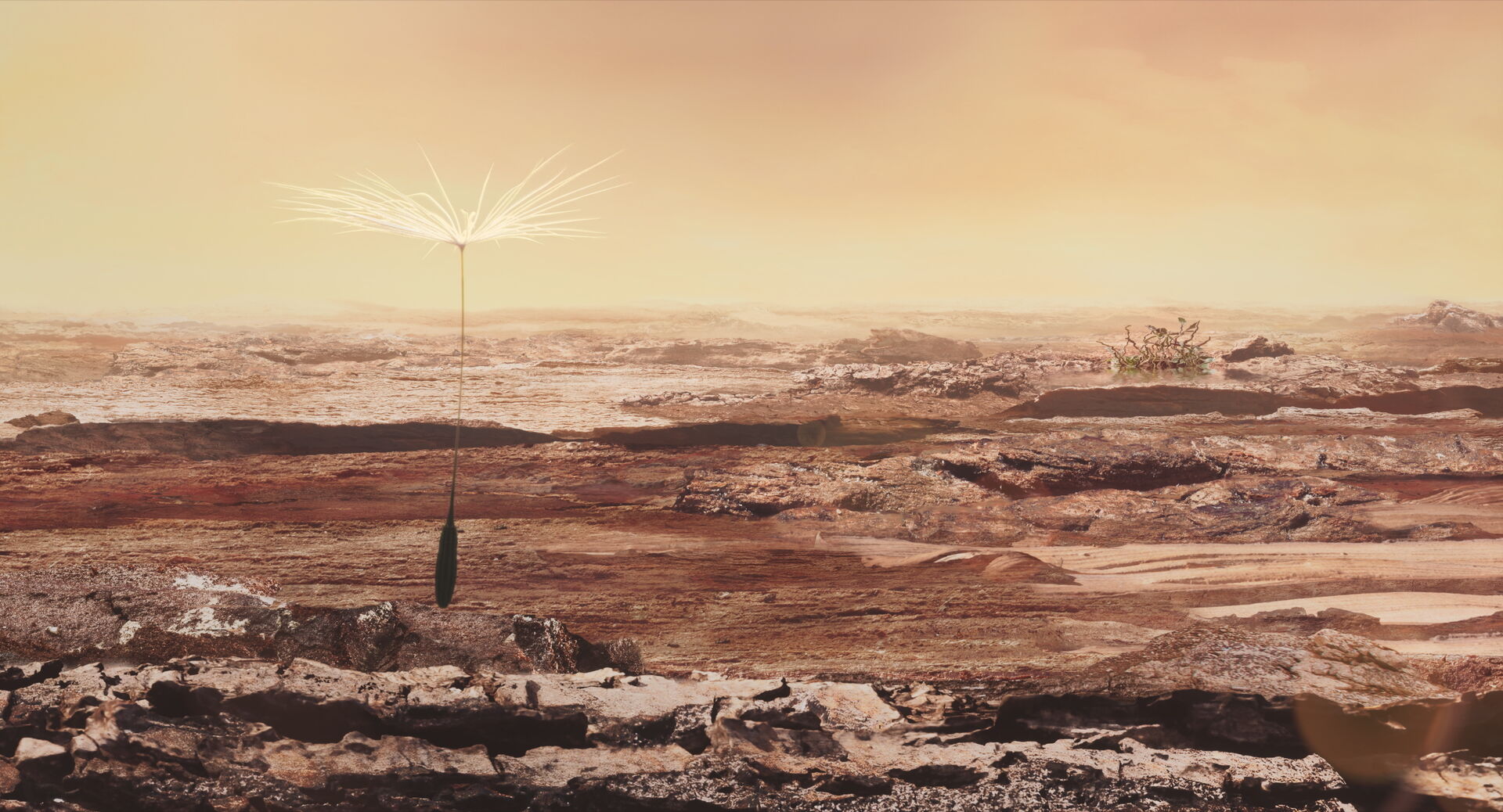 Dandelion-s-Odyssey_st_8_jpg_sd-high