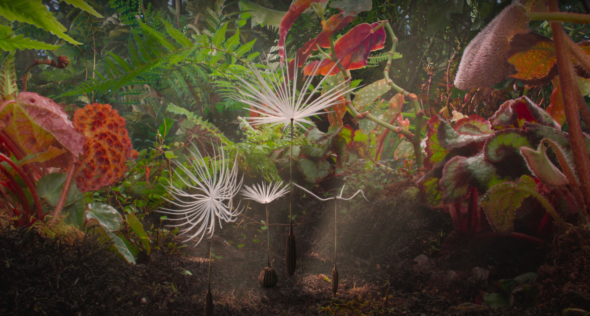 Dandelion-s-Odyssey_st_9_jpg_sd-high