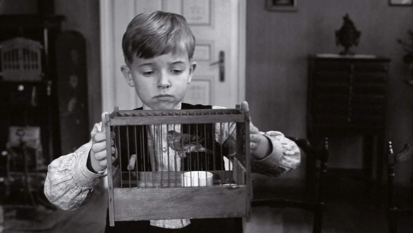 DasWiesseBandStills3