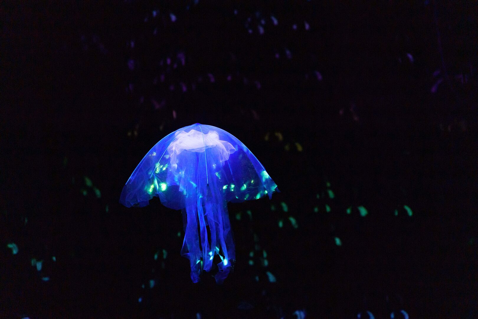 diep_scenefoto_sjoerd_derine_het_filiaal0725