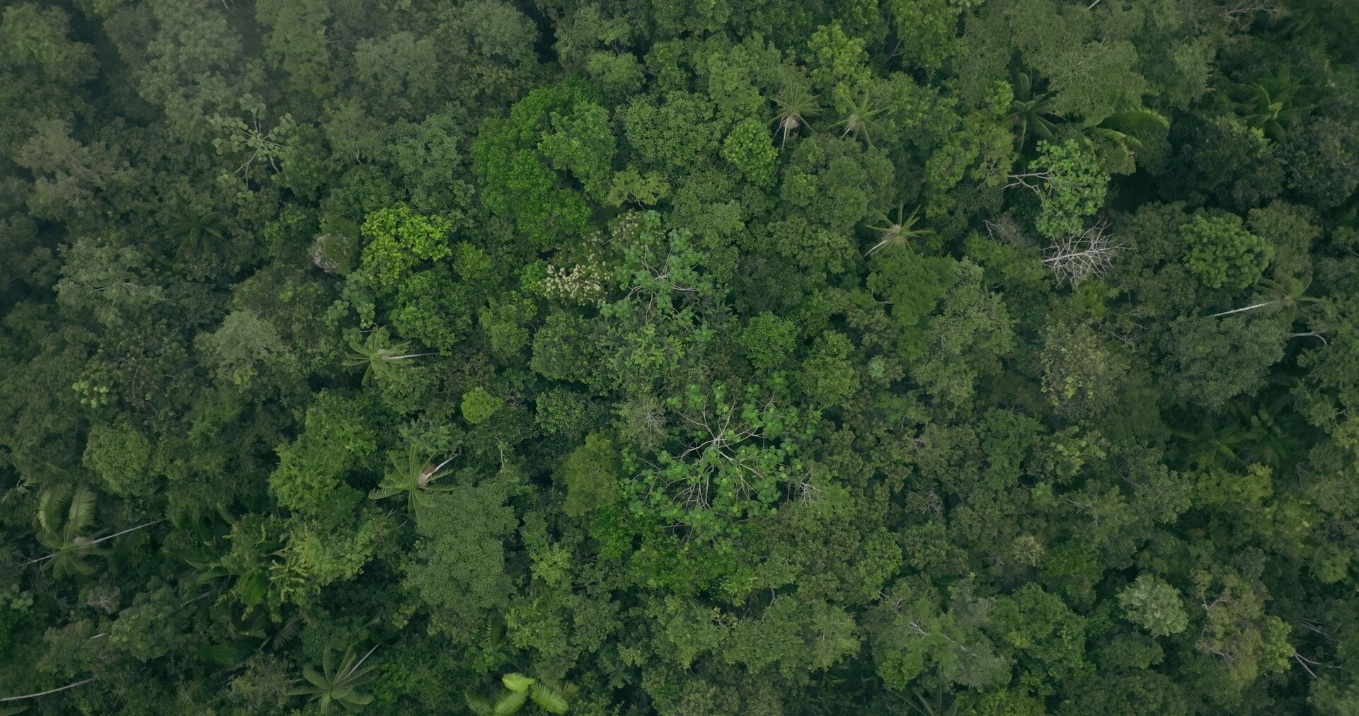 EMT_001_JPEG__1.303.1