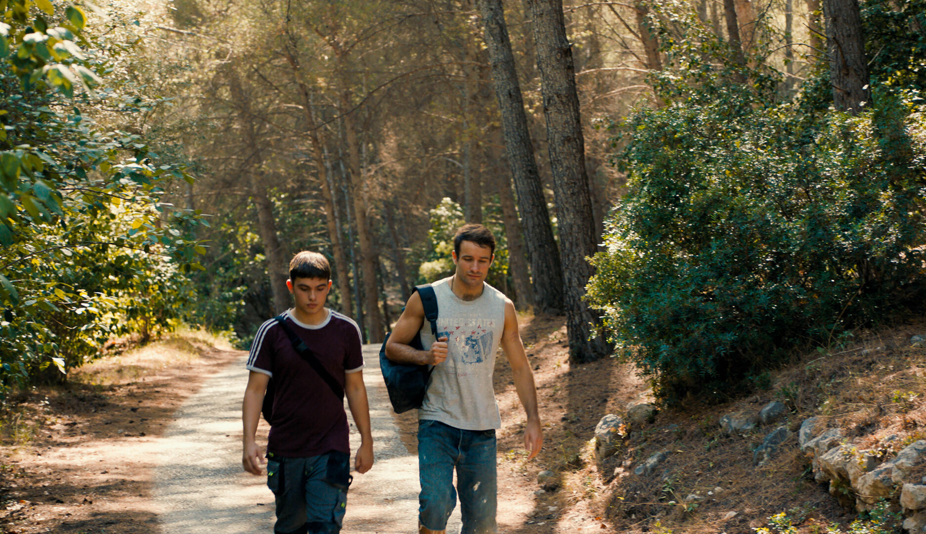 Enzo_st_5_jpg_sd-high