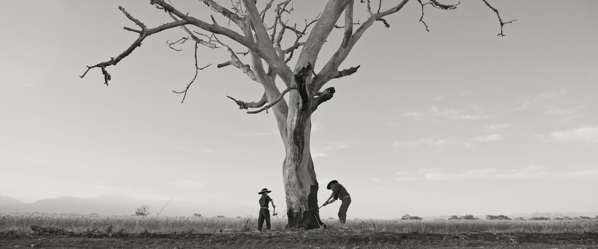 Gaucho-Gaucho_st_6_jpg_sd-high