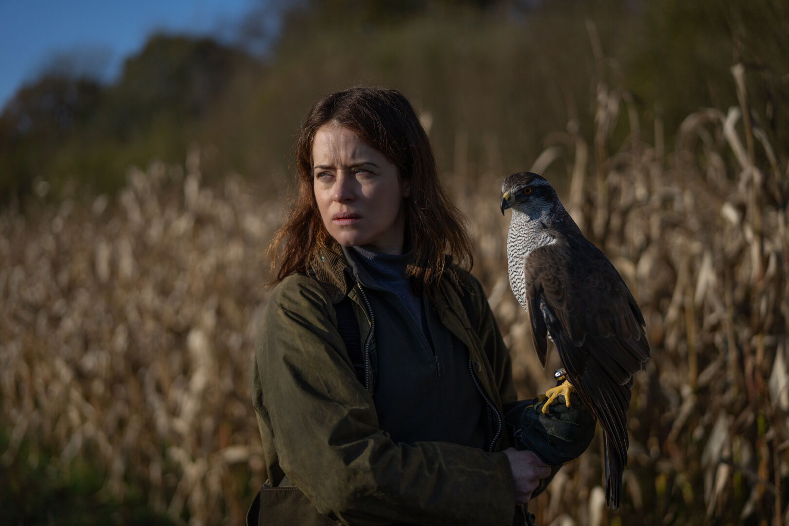 H-Is-For-Hawk_st_1_jpg_sd-high