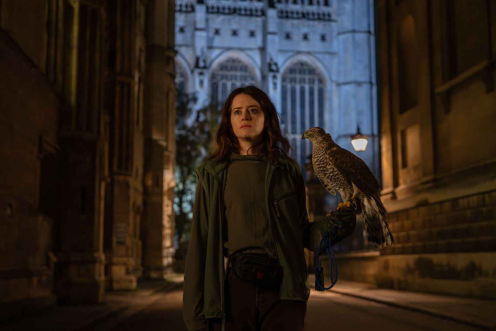 H-Is-For-Hawk_st_6_jpg_sd-high