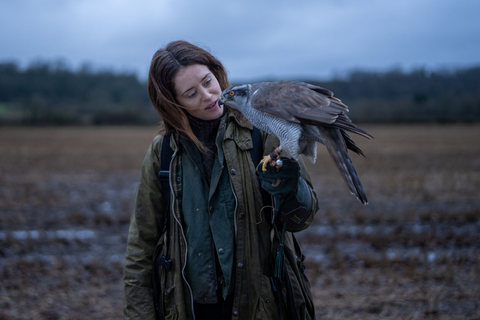 H-Is-For-Hawk_st_8_jpg_sd-high