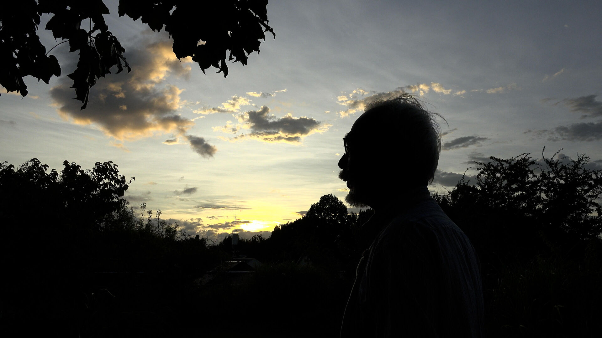 Hayao-Miyazaki-and-the-Heron_st_3_jpg_sd-high