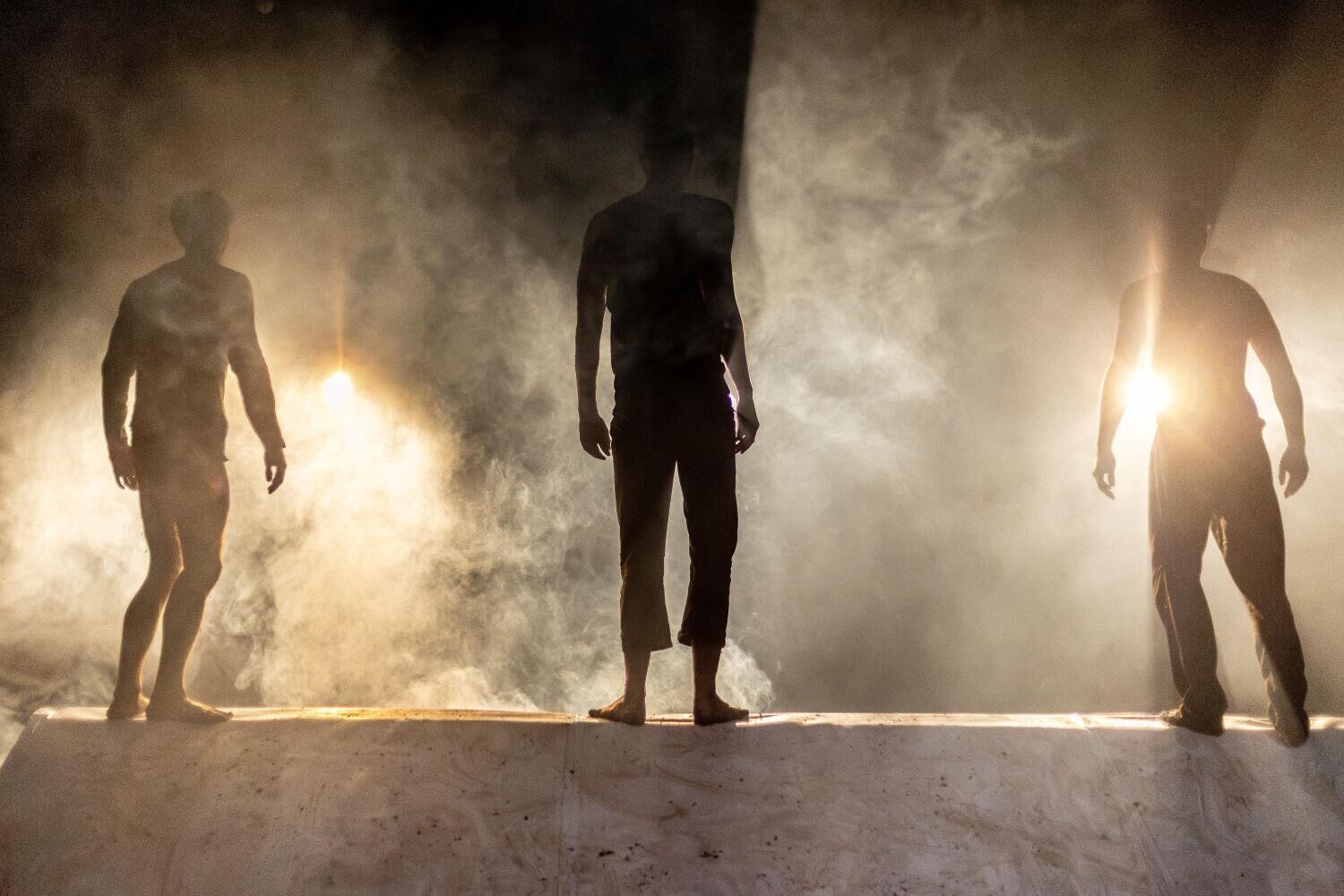 HEAVEN vooronderzoek - Elze van Houtum_