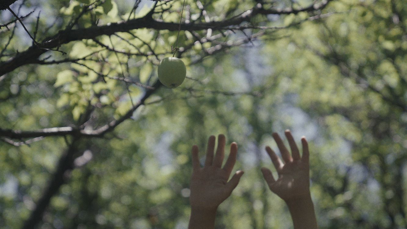 Handen reiken naar een groene appel die aan een tak hangt, omgeven door groene bladeren.