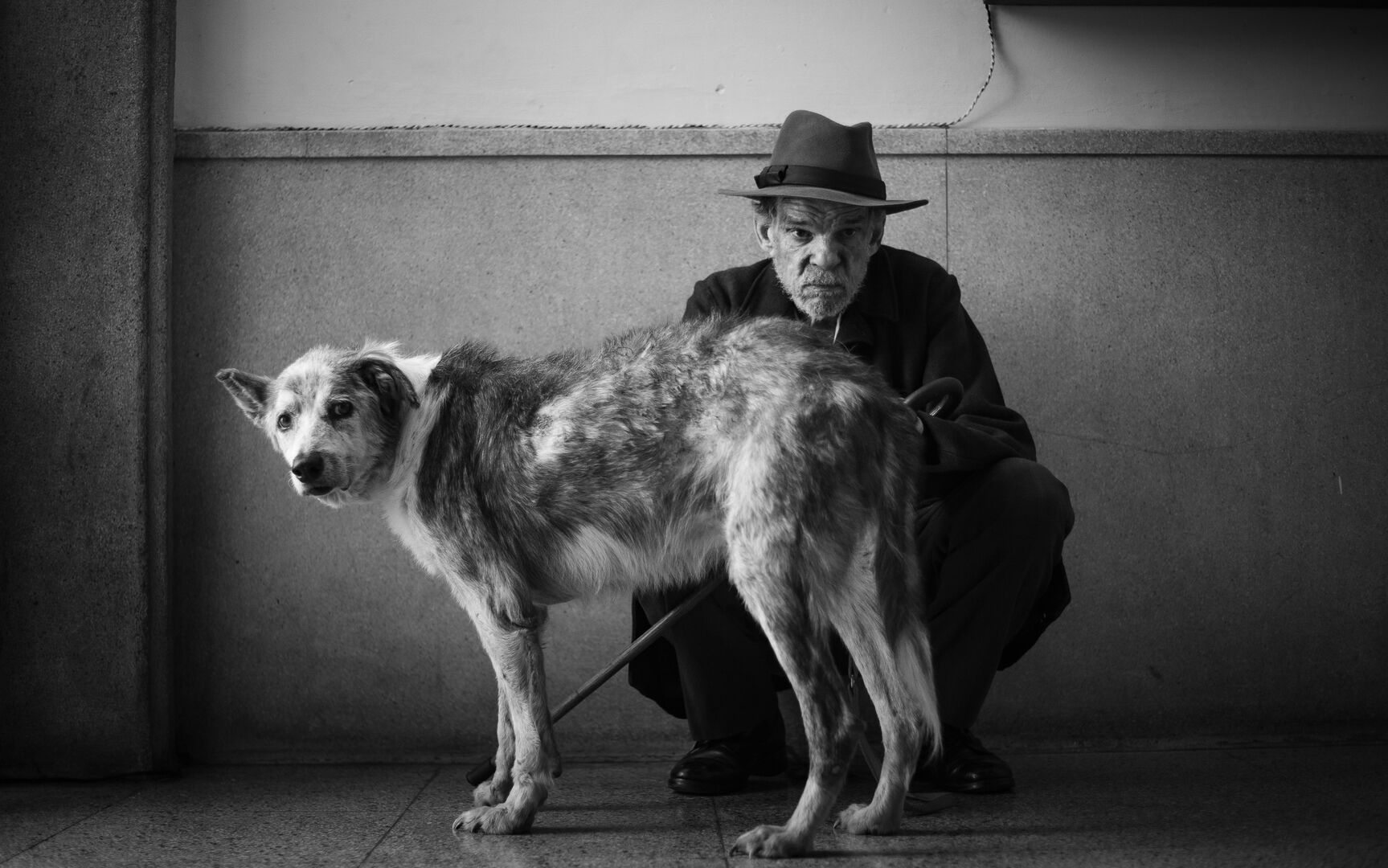 L-Etranger_st_9_jpg_sd-high