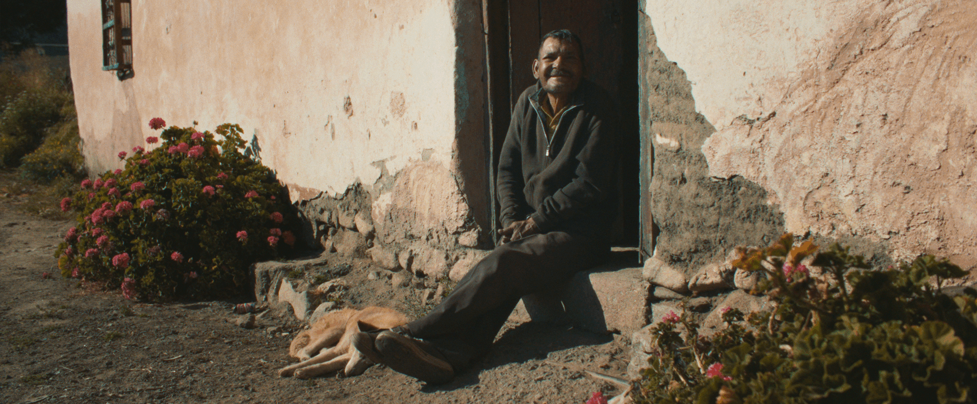 LOOKING FOR A DONKEY_5