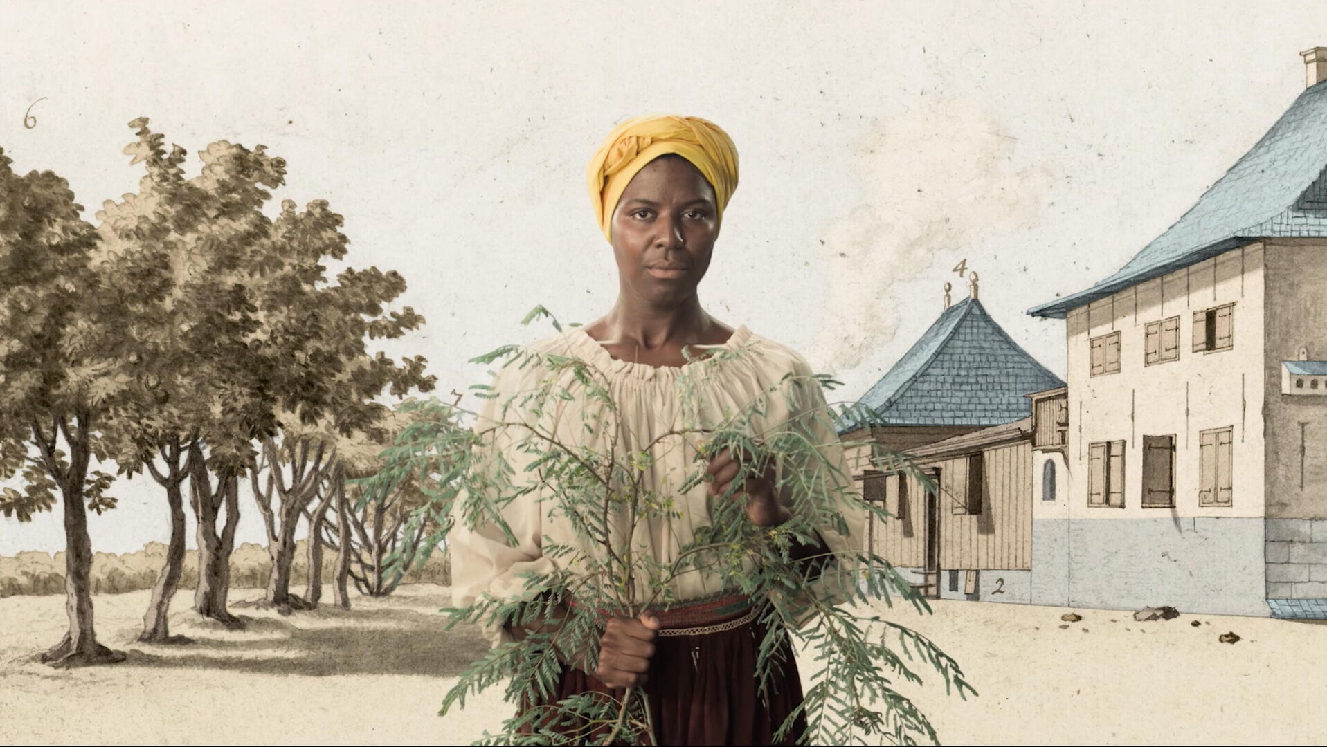 Metamorfose_st_6_jpg_sd-high