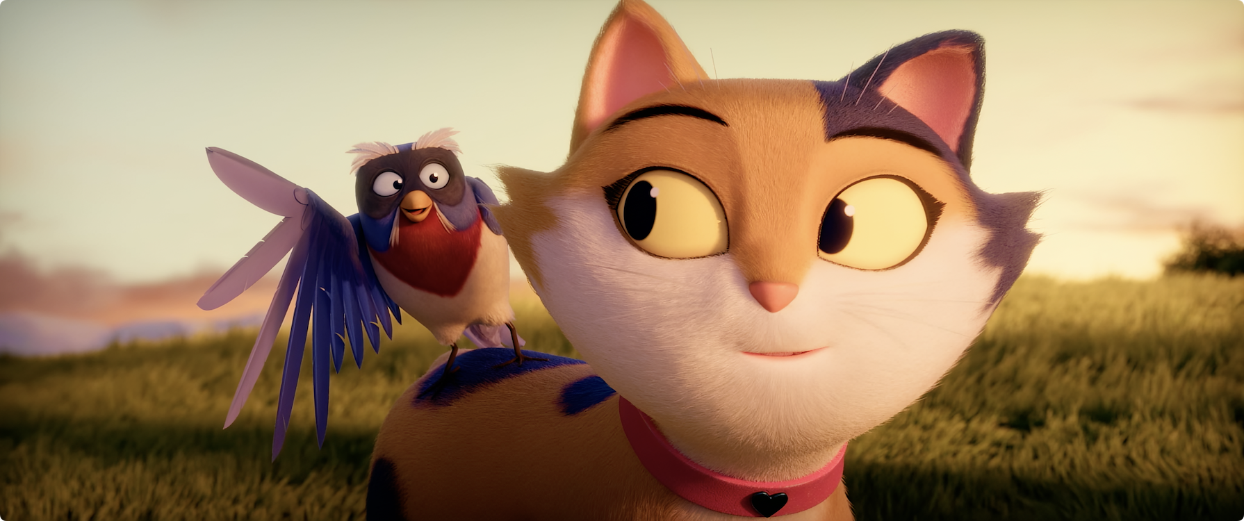 Een schattige kat met een vogel op haar rug, kijkend naar de horizon bij zonsondergang.