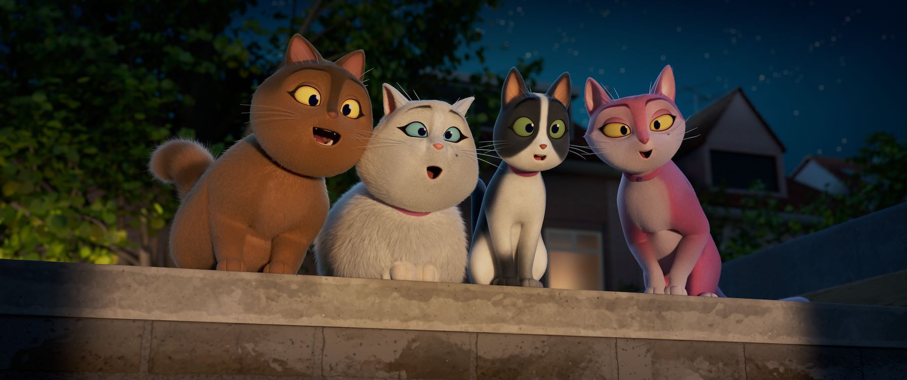 Vijf cartoonachtige katten met verschillende kleuren, die verrast en nieuwsgierig kijken in de nacht.