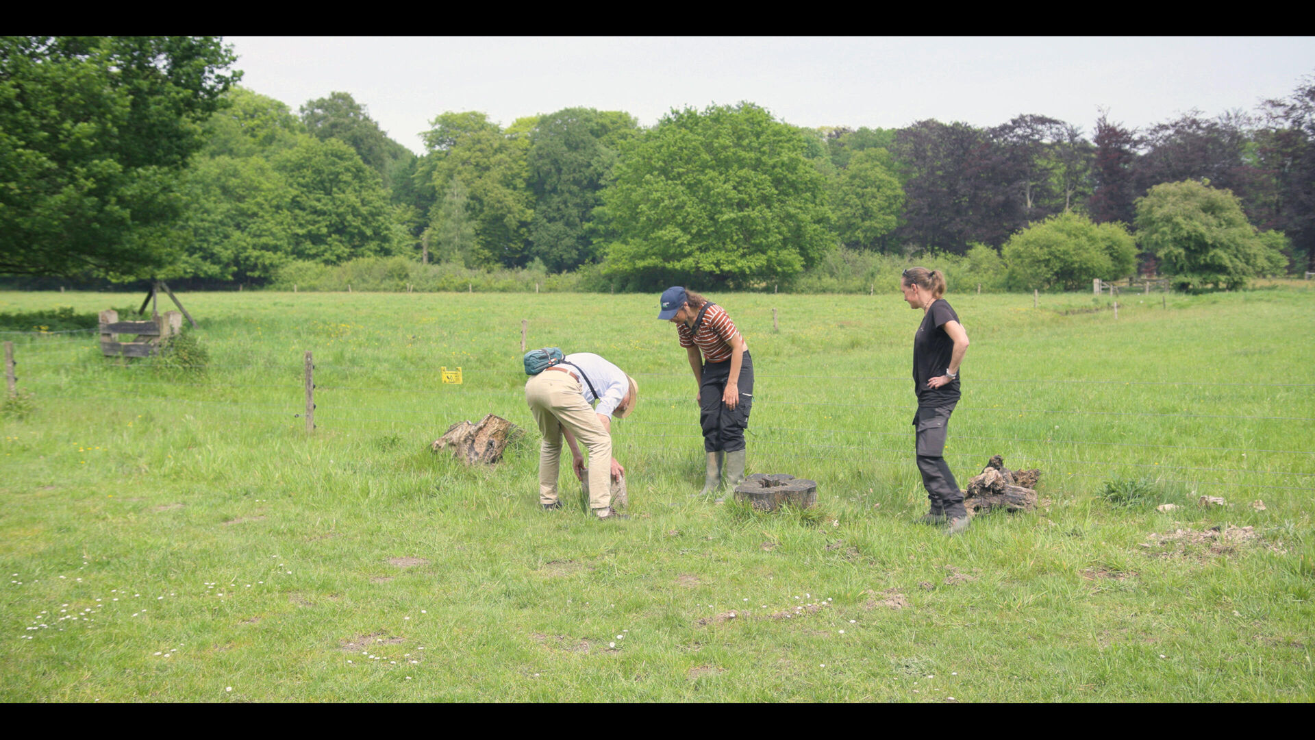 Montage NIEUW.00_13_53_01.Still006