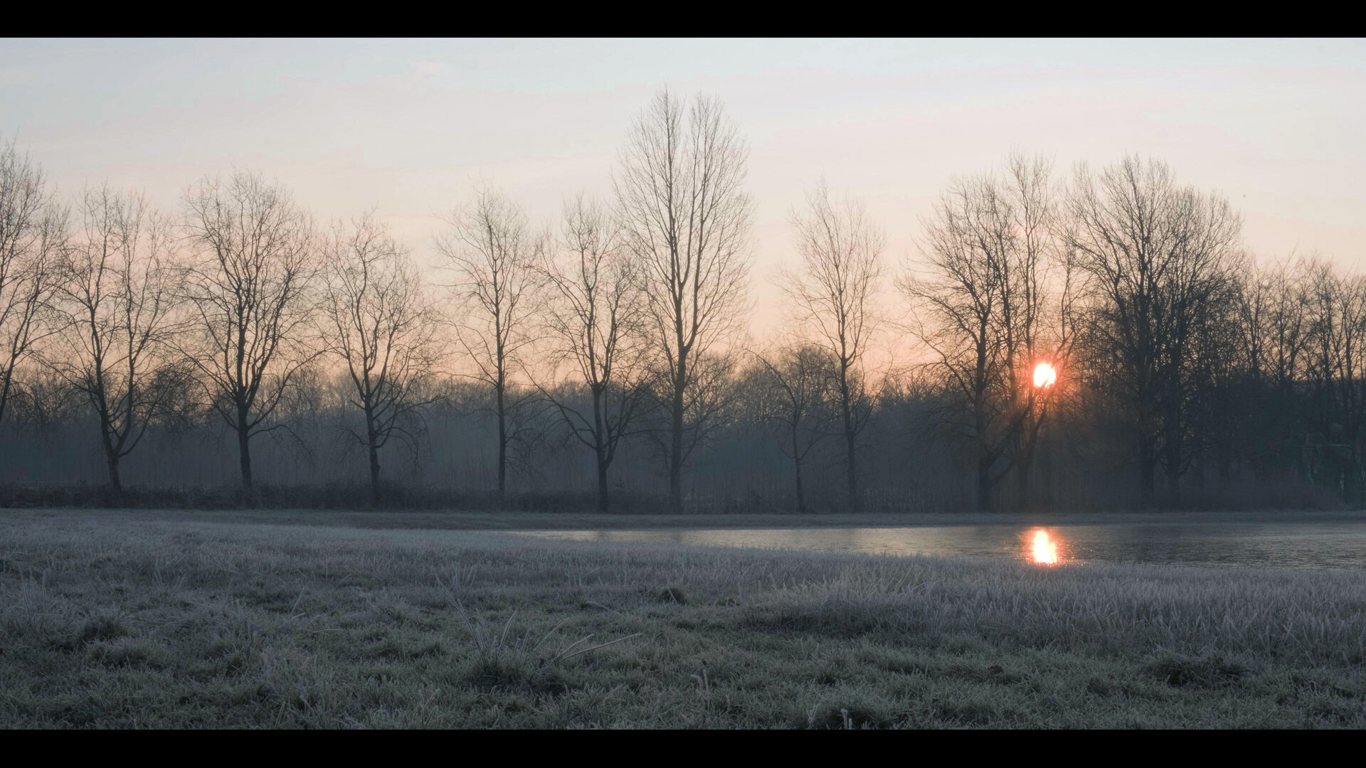 Montage NIEUW.00_44_49_06.Still003