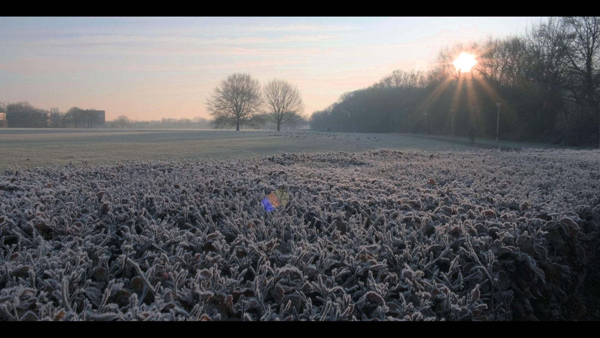 Montage NIEUW.00_45_08_12.Still004