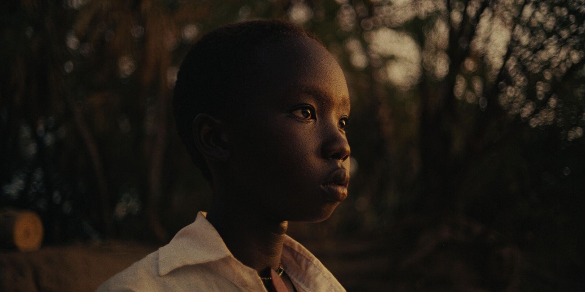 Nawi_st_4_jpg_sd-high