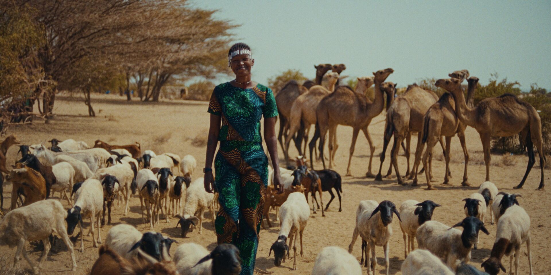 Nawi_st_6_jpg_sd-high