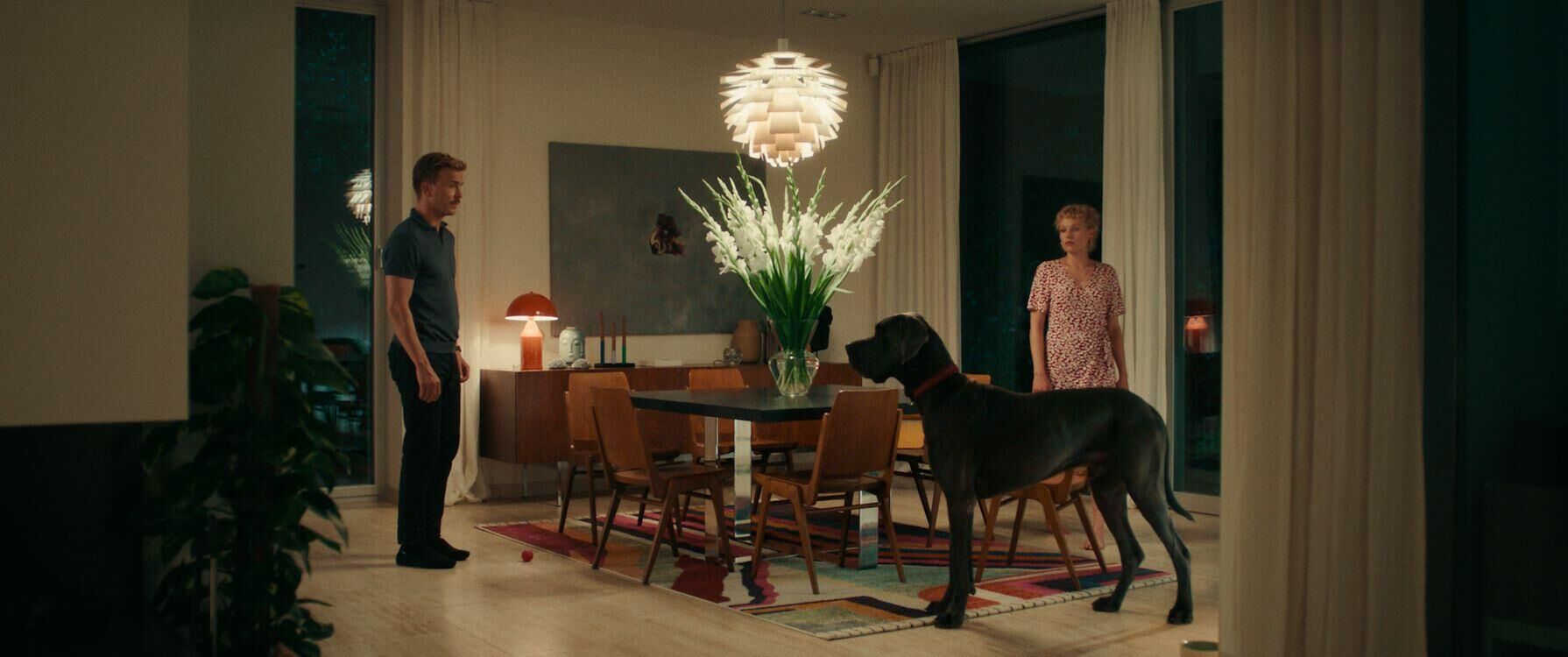 Peacock_st_2_jpg_sd-low[1]