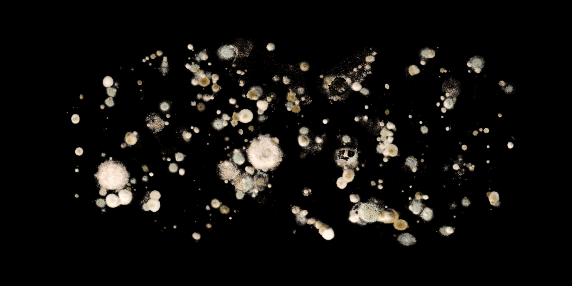 Planet Infini stills 1