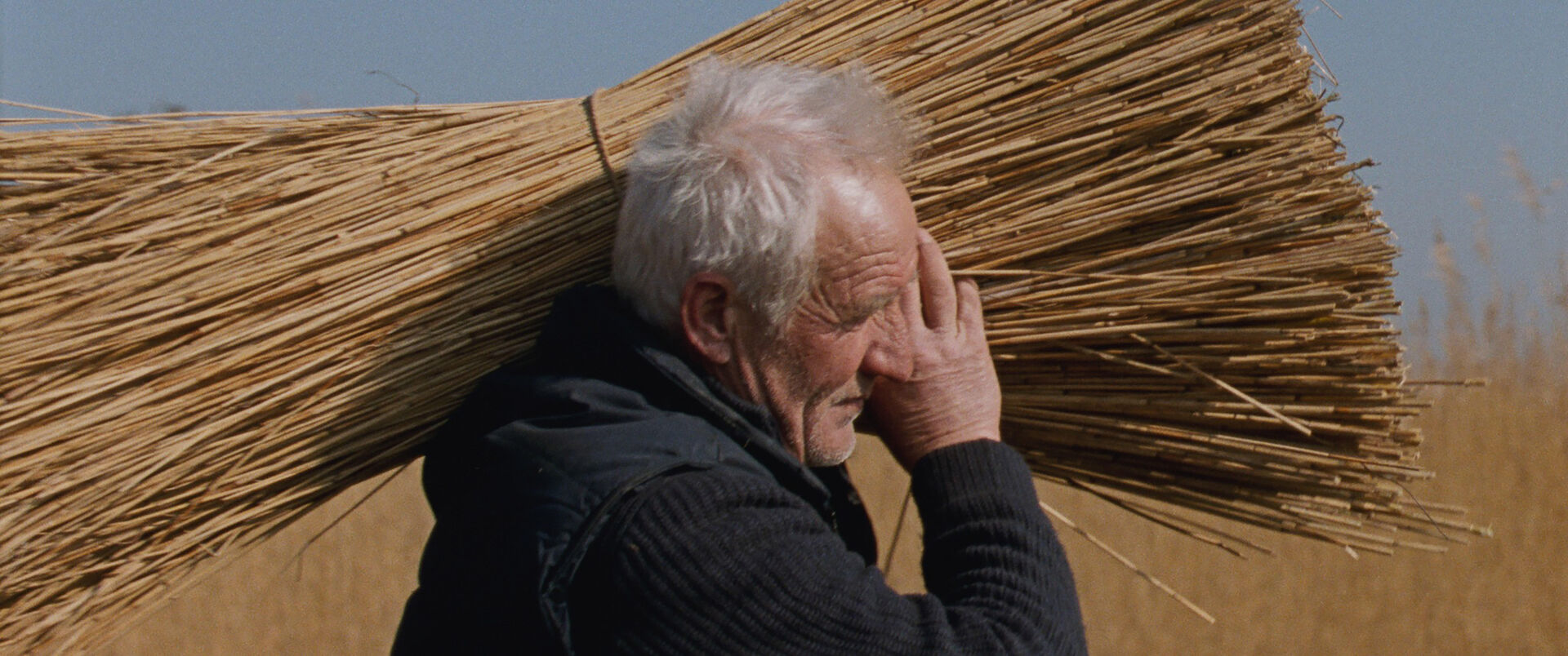 Rietland_st_5_jpg_sd-high