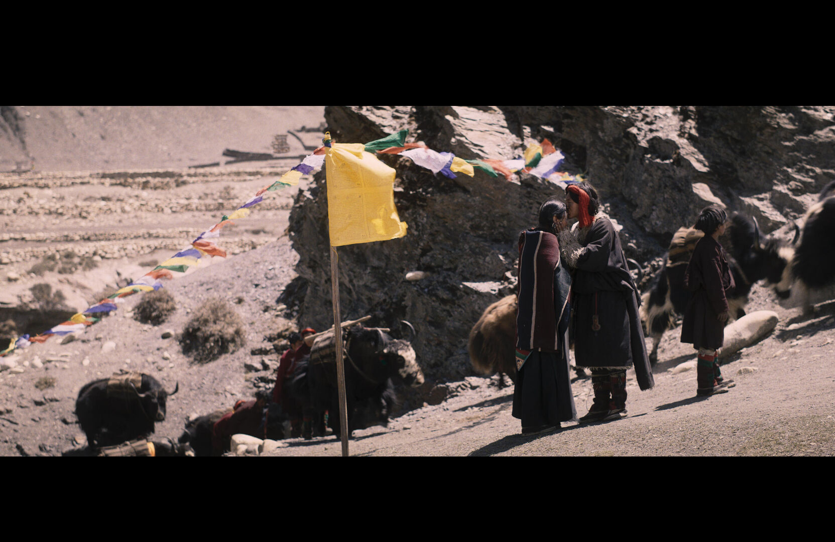 Shambhala_st_3_jpg_sd-high