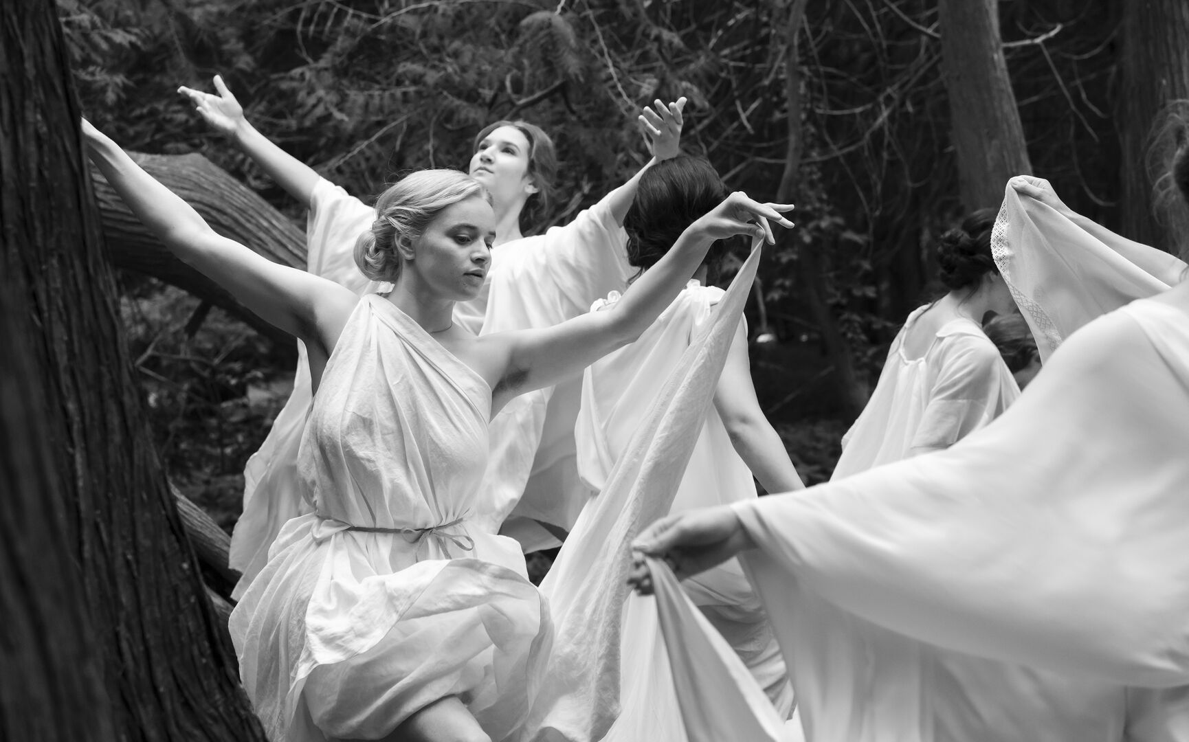 Silent-Friend_st_1_jpg_sd-high