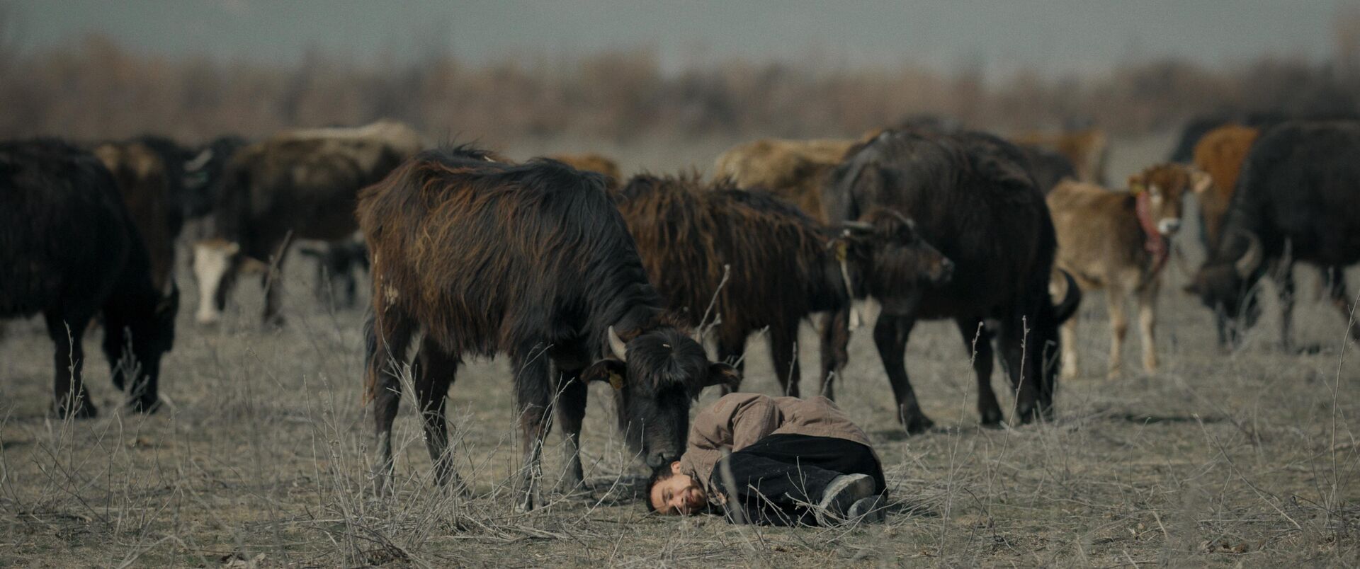 Son-Hasat_st_2_jpg_sd-high