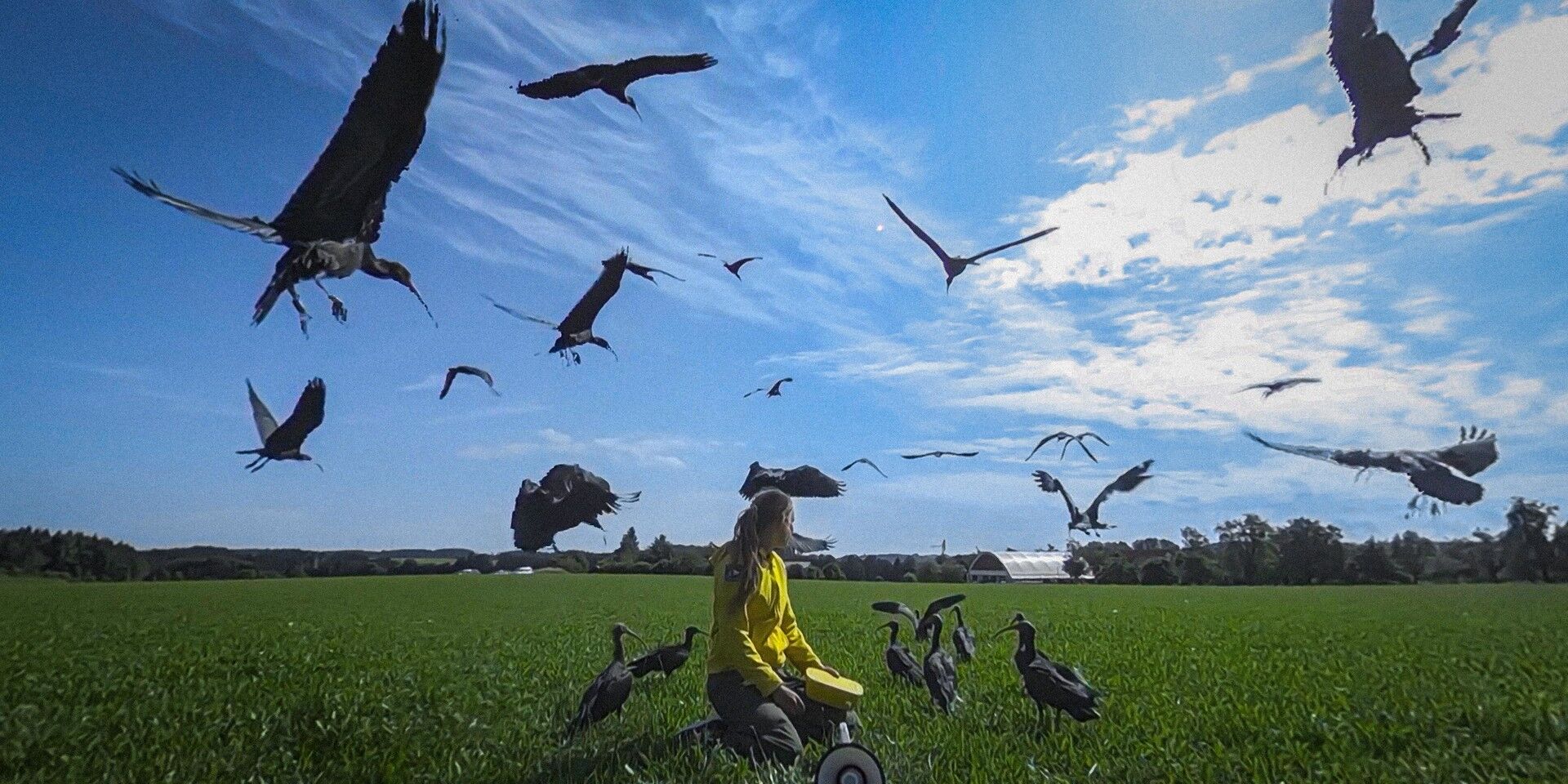 Still_2_Myriad_360_3D©Interactive_Media_Foundation