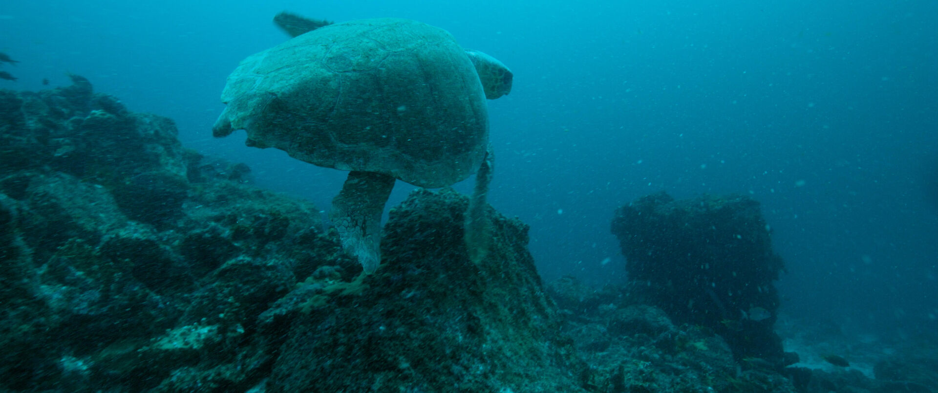 The-Coriolis-Effect_st_1_jpg_sd-high