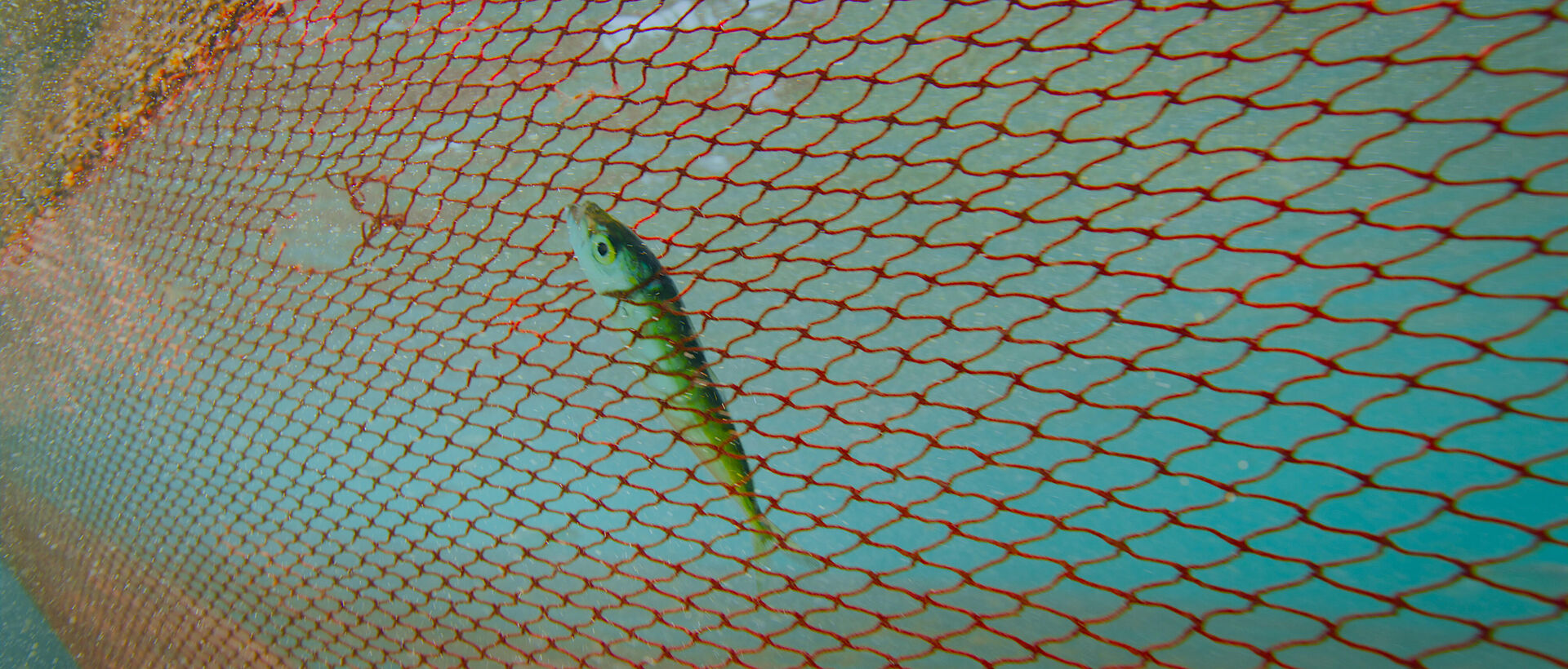 The-Coriolis-Effect_st_4_jpg_sd-high