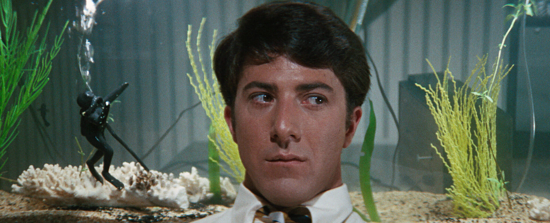 The-Graduate-4K-Restoration-_st_5_jpg_sd-high