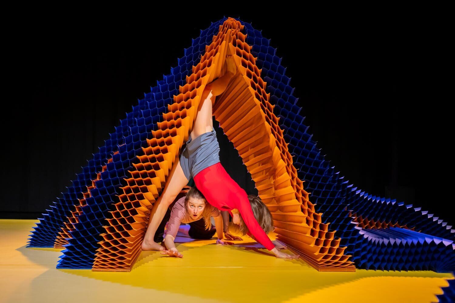 WAUW BonteHond©Kamerich & Budwilowitz-63_kleiner