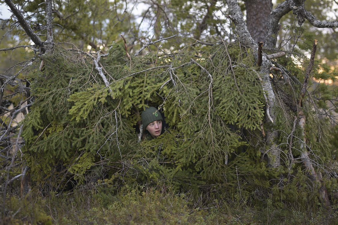 Whispers-in-the-Woods_st_10_jpg_sd-low