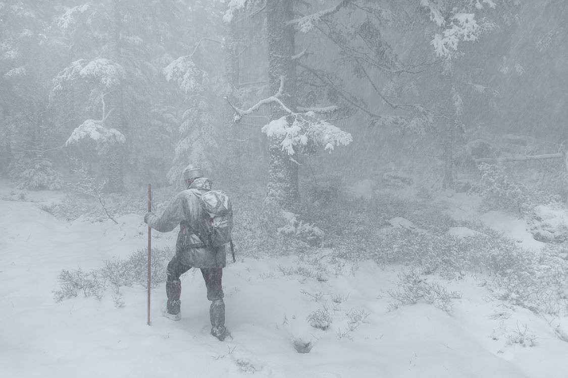 Whispers-in-the-Woods_st_11_jpg_sd-low